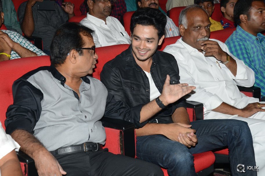 Vinavayya-Ramayya-Movie-Audio-Launch